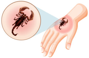 Doctor treating a snake bite patient at Thangam Hospital, Palakkad, equipped with advanced toxicology facilities.